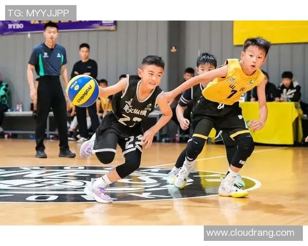 篮球运动的魅力与发展：从基础技巧到竞技水平的全面解析