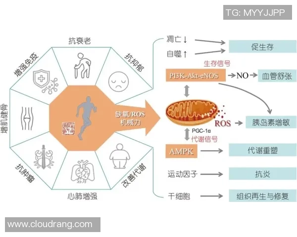 聚焦最新体育比分动态全景解析全球赛事胜负与精彩瞬间